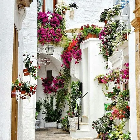 La Volta Del Conte-holiday Centro Storico *